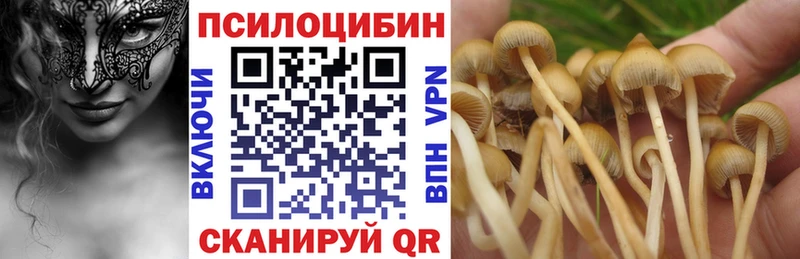 Псилоцибиновые грибы Psilocybe  блэк спрут зеркало  Владимир 