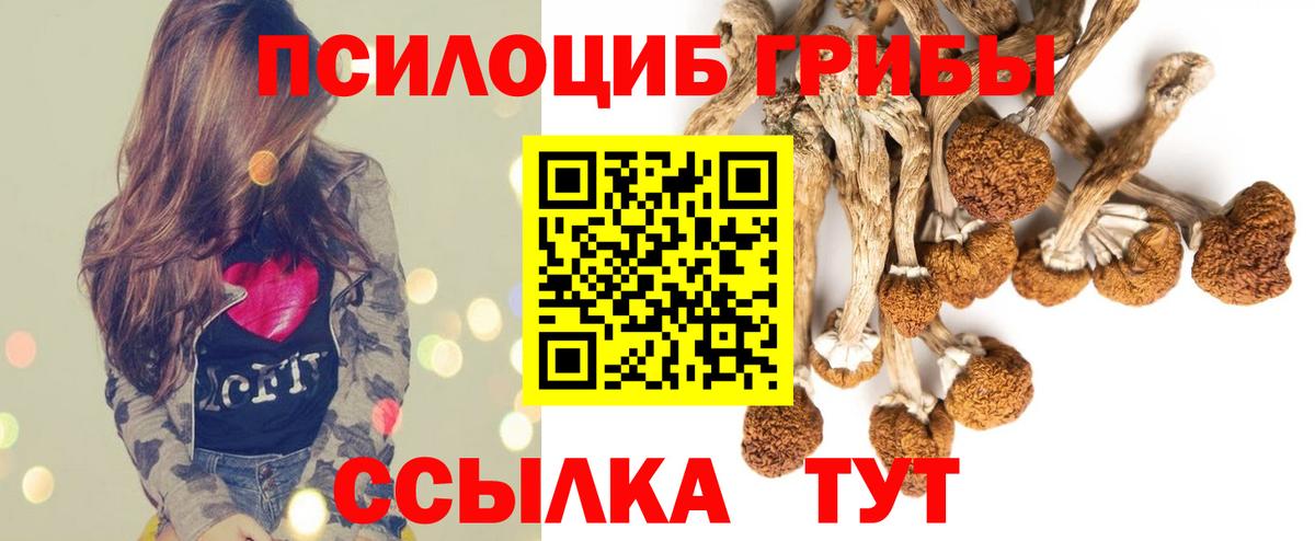 Галлюциногенные грибы мухоморы Владимир