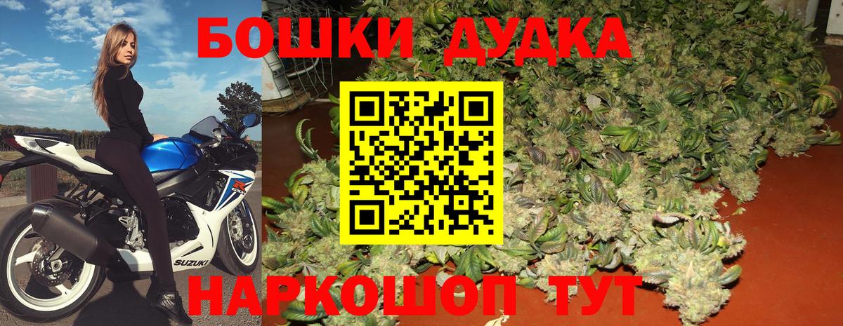 Бошки Шишки ГИДРОПОН  Марихуана семена  Владимир  Марихуана MAZAR  Вход с VPN  Шишки марихуана OG Kush 